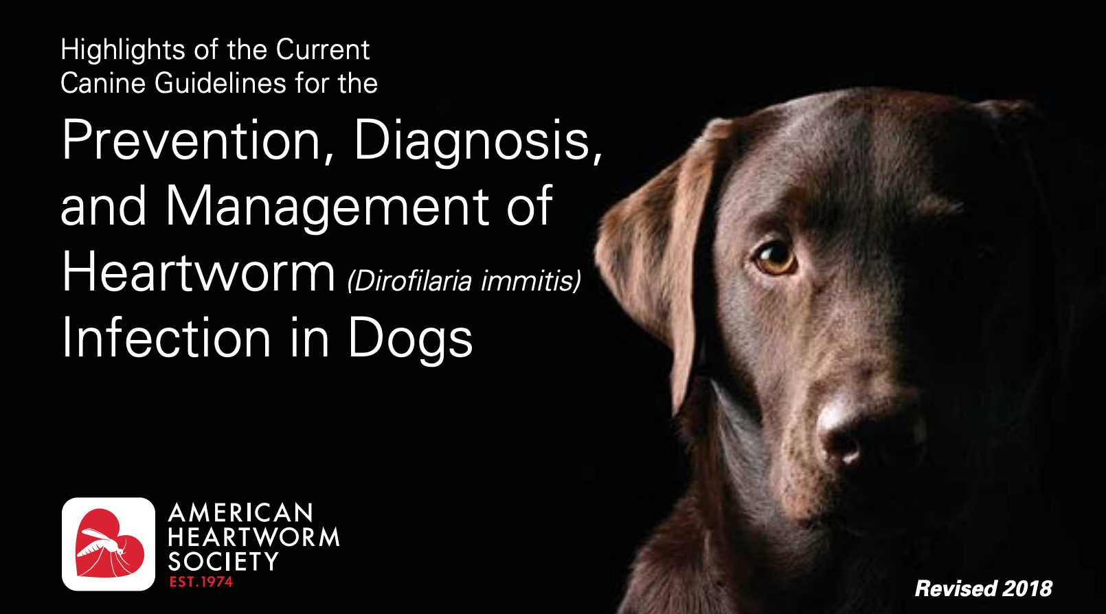Prevention, Diagnosis, and Management of Heartworm(Dirofilaria immitis) Infection in Dogs